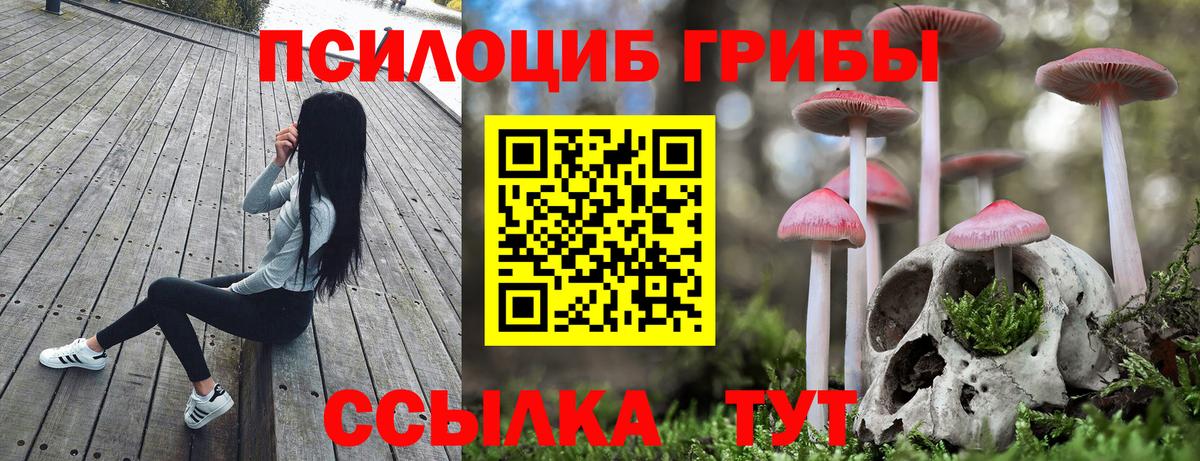 Галлюциногенные грибы GOLDEN TEACHER Россия